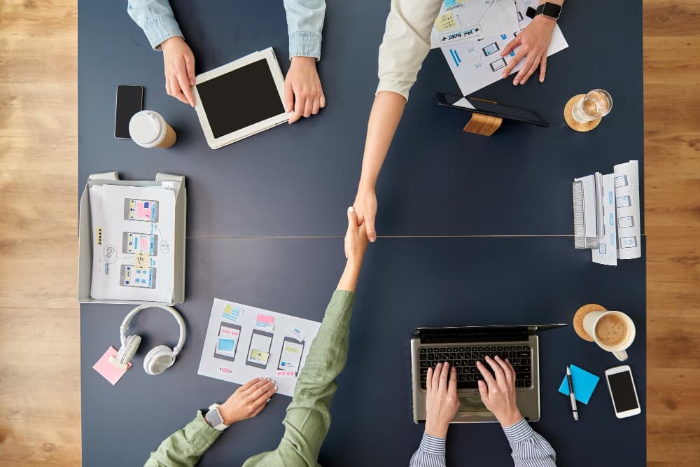 RankMeHi white-label development support model for marketing agencies